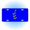 Copy of Personalized 3 X 6 Heavy Duty Acrylic / Plastic License Plate Thumbnail