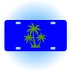 Copy of Personalized 3 X 6 Heavy Duty Acrylic / Plastic License Plate Thumbnail