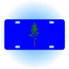 Copy of Personalized 3 X 6 Heavy Duty Acrylic / Plastic License Plate Thumbnail