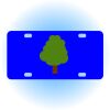 Copy of Personalized 3 X 6 Heavy Duty Acrylic / Plastic License Plate Thumbnail