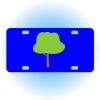 Copy of Personalized 3 X 6 Heavy Duty Acrylic / Plastic License Plate Thumbnail
