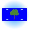 Copy of Personalized 3 X 6 Heavy Duty Acrylic / Plastic License Plate Thumbnail