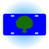 Copy of Personalized 3 X 6 Heavy Duty Acrylic / Plastic License Plate Thumbnail