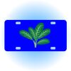 Copy of Personalized 3 X 6 Heavy Duty Acrylic / Plastic License Plate Thumbnail