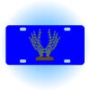 Copy of Personalized 3 X 6 Heavy Duty Acrylic / Plastic License Plate Thumbnail