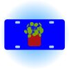 Copy of Personalized 3 X 6 Heavy Duty Acrylic / Plastic License Plate Thumbnail