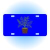 Copy of Personalized 3 X 6 Heavy Duty Acrylic / Plastic License Plate Thumbnail