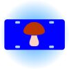 Copy of Personalized 3 X 6 Heavy Duty Acrylic / Plastic License Plate Thumbnail