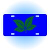 Copy of Personalized 3 X 6 Heavy Duty Acrylic / Plastic License Plate Thumbnail