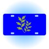 Copy of Personalized 3 X 6 Heavy Duty Acrylic / Plastic License Plate Thumbnail