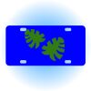 Copy of Personalized 3 X 6 Heavy Duty Acrylic / Plastic License Plate Thumbnail