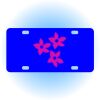 Copy of Personalized 3 X 6 Heavy Duty Acrylic / Plastic License Plate Thumbnail