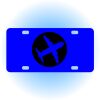 Copy of Personalized 3 X 6 Heavy Duty Acrylic / Plastic License Plate Thumbnail