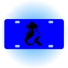 Copy of Personalized 3 X 6 Heavy Duty Acrylic / Plastic License Plate Thumbnail
