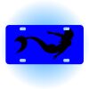Copy of Personalized 3 X 6 Heavy Duty Acrylic / Plastic License Plate Thumbnail
