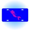 Copy of Personalized 3 X 6 Heavy Duty Acrylic / Plastic License Plate Thumbnail