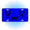 Copy of Personalized 3 X 6 Heavy Duty Acrylic / Plastic License Plate Thumbnail