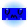 Copy of Personalized 3 X 6 Heavy Duty Acrylic / Plastic License Plate Thumbnail