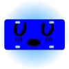 Copy of Personalized 3 X 6 Heavy Duty Acrylic / Plastic License Plate Thumbnail