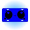 Copy of Personalized 3 X 6 Heavy Duty Acrylic / Plastic License Plate Thumbnail