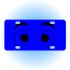 Copy of Personalized 3 X 6 Heavy Duty Acrylic / Plastic License Plate Thumbnail