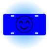 Copy of Personalized 3 X 6 Heavy Duty Acrylic / Plastic License Plate Thumbnail