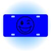 Copy of Personalized 3 X 6 Heavy Duty Acrylic / Plastic License Plate Thumbnail