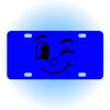 Copy of Personalized 3 X 6 Heavy Duty Acrylic / Plastic License Plate Thumbnail