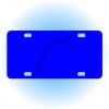Copy of Personalized 3 X 6 Heavy Duty Acrylic / Plastic License Plate Thumbnail