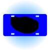Copy of Personalized 3 X 6 Heavy Duty Acrylic / Plastic License Plate Thumbnail
