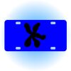 Copy of Personalized 3 X 6 Heavy Duty Acrylic / Plastic License Plate Thumbnail