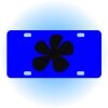 Copy of Personalized 3 X 6 Heavy Duty Acrylic / Plastic License Plate Thumbnail