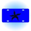 Copy of Personalized 3 X 6 Heavy Duty Acrylic / Plastic License Plate Thumbnail