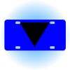 Copy of Personalized 3 X 6 Heavy Duty Acrylic / Plastic License Plate Thumbnail