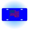 Copy of Personalized 3 X 6 Heavy Duty Acrylic / Plastic License Plate Thumbnail