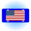 Copy of Personalized 3 X 6 Heavy Duty Acrylic / Plastic License Plate Thumbnail