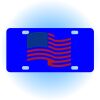 Copy of Personalized 3 X 6 Heavy Duty Acrylic / Plastic License Plate Thumbnail