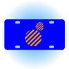 Copy of Personalized 3 X 6 Heavy Duty Acrylic / Plastic License Plate Thumbnail