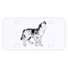 Personalized 3 X 6 Heavy Duty Acrylic / Plastic License Plate Thumbnail