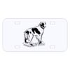 Personalized 3 X 6 Heavy Duty Acrylic / Plastic License Plate Thumbnail