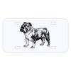 Personalized 3 X 6 Heavy Duty Acrylic / Plastic License Plate Thumbnail