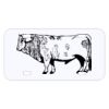Personalized 3 X 6 Heavy Duty Acrylic / Plastic License Plate Thumbnail