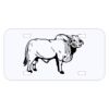 Personalized 3 X 6 Heavy Duty Acrylic / Plastic License Plate Thumbnail