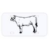Personalized 3 X 6 Heavy Duty Acrylic / Plastic License Plate Thumbnail