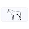Personalized 3 X 6 Heavy Duty Acrylic / Plastic License Plate Thumbnail