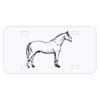 Personalized 3 X 6 Heavy Duty Acrylic / Plastic License Plate Thumbnail