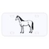 Personalized 3 X 6 Heavy Duty Acrylic / Plastic License Plate Thumbnail