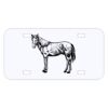 Personalized 3 X 6 Heavy Duty Acrylic / Plastic License Plate Thumbnail