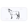 Personalized 3 X 6 Heavy Duty Acrylic / Plastic License Plate Thumbnail