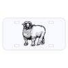 Personalized 3 X 6 Heavy Duty Acrylic / Plastic License Plate Thumbnail